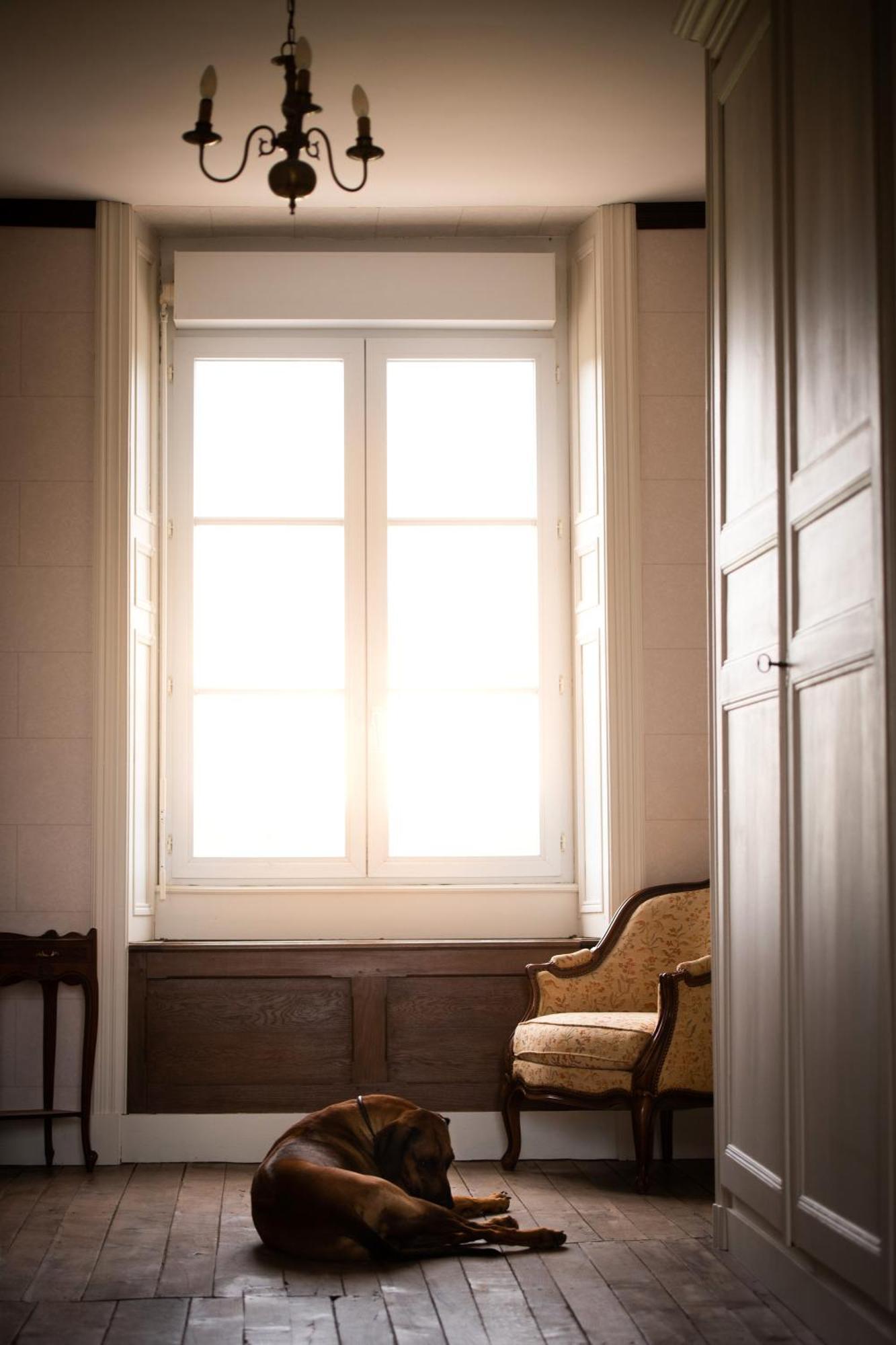 Bed and Breakfast Domaine De La Briouse Sanxay Экстерьер фото