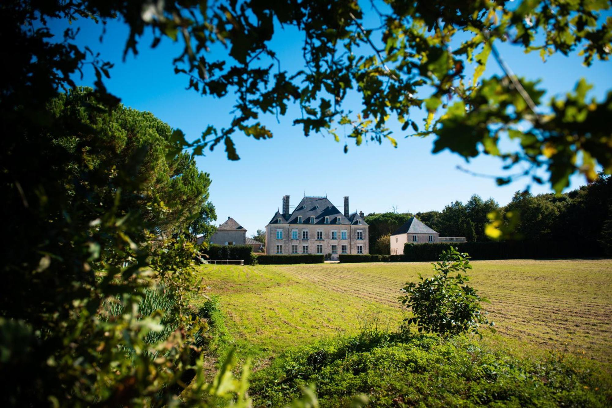 Bed and Breakfast Domaine De La Briouse Sanxay Экстерьер фото
