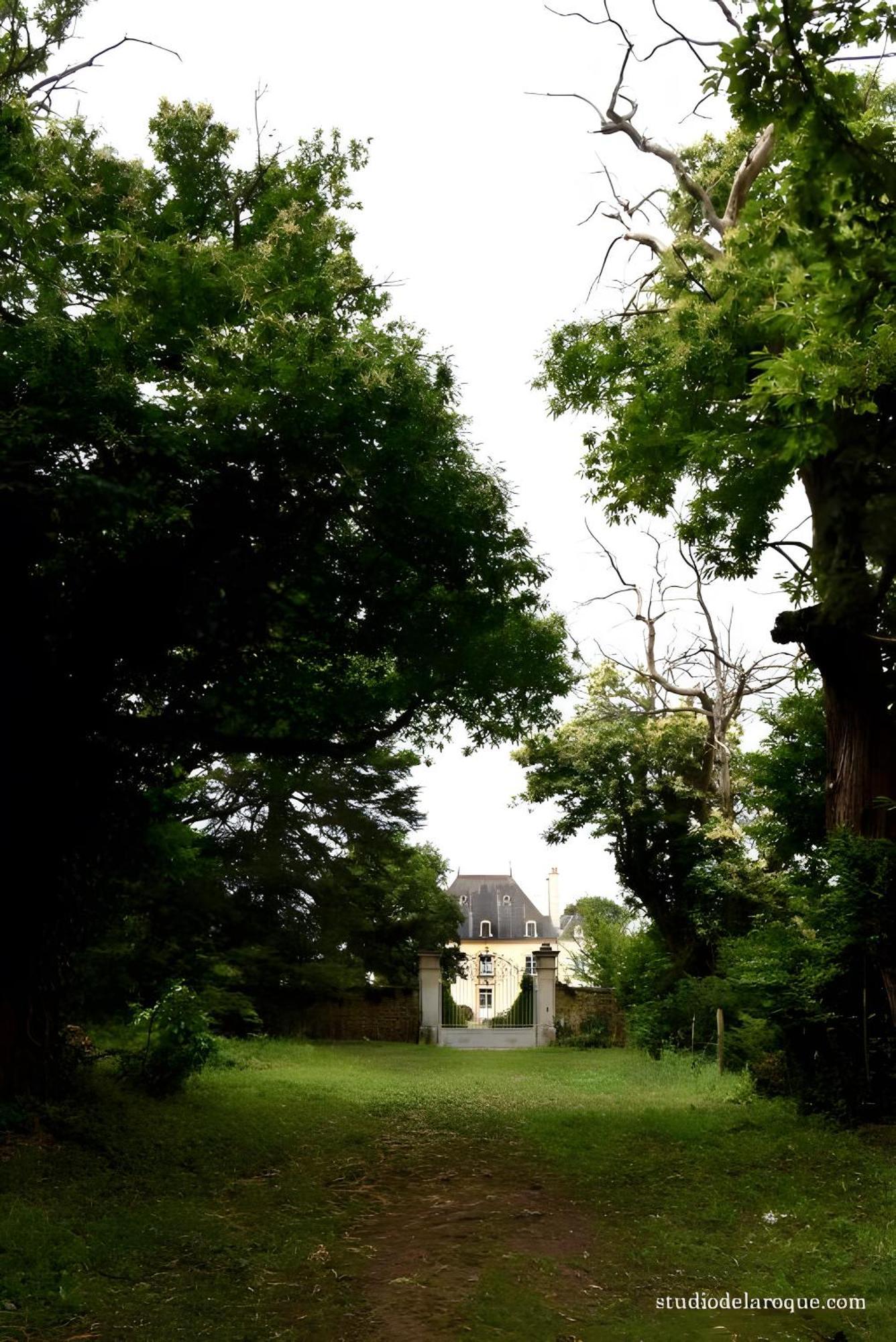 Bed and Breakfast Domaine De La Briouse Sanxay Экстерьер фото