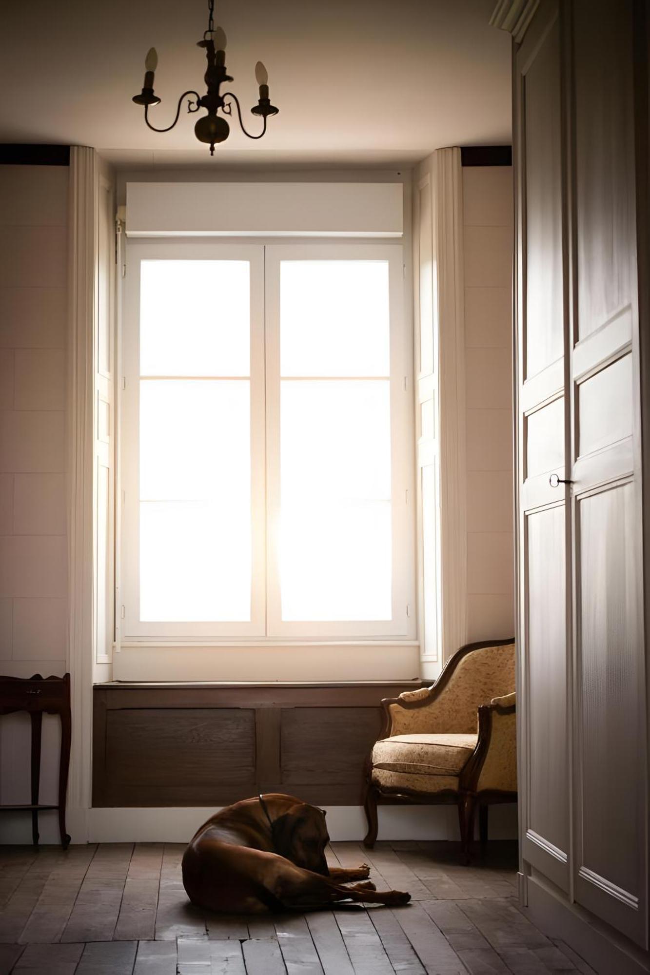 Bed and Breakfast Domaine De La Briouse Sanxay Экстерьер фото