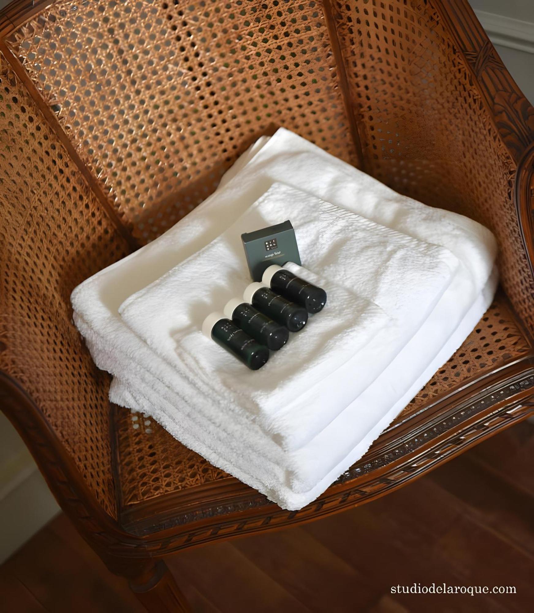 Bed and Breakfast Domaine De La Briouse Sanxay Экстерьер фото